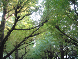 �C�`���E����