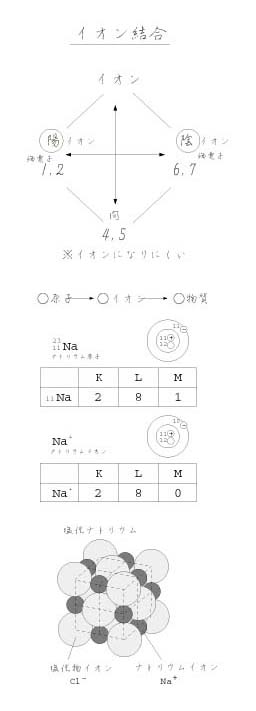 �C�I�������i�Q�l�F�����i�g���E���j