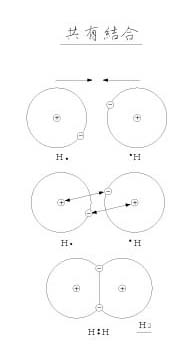 ���L�����i�Q�l�F���f�j