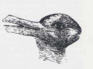 �J���ƃE�T�M