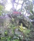 �������~�܂���