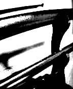 ���C���i�n�j