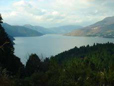 2006�N11��29��