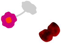 �����`�̌�̃e�[�u����