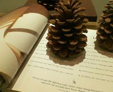 ���ڂ�����