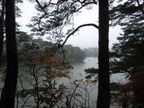 2009 11/11 ����