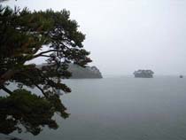 2009 11/11 ����