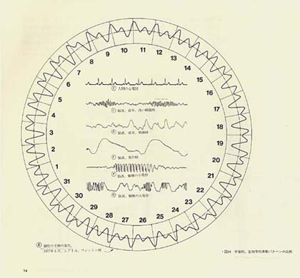 �g��p�^�[��