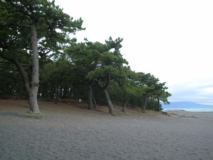 �_�ɉB�ꂽ�x�m