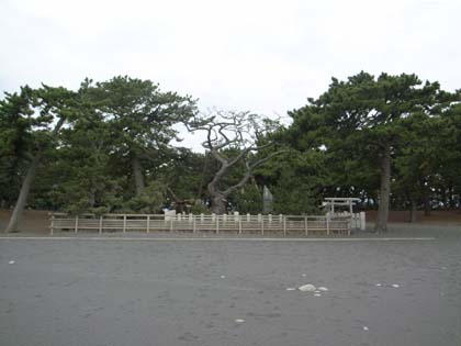 �H�߂̏��i�V���������~��ĉH�߂��������Ɠ`����������600�N�̃N���}�c�j