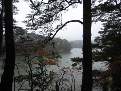 �������R���� ���Y�����