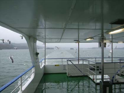 �����������^50���C�����������^50���C����������k�������^1����40��