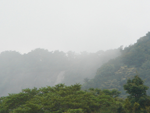 ���E����