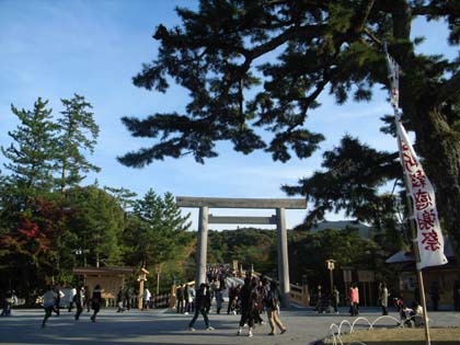 �F��������