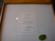 �g���t�ƃX�e�b�L�ƃ~���g�h