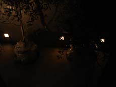 �I���[�u �c