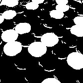 �I�Z���Ɖ�