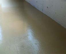 2007.01.27 �y���L�h��