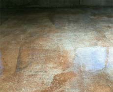 ���n�h��