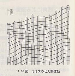 �~�~�Y�̂��񓮉^��