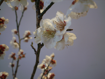 �F�t����