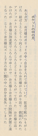 ��_����u�|�P�b�g�̒��̌��v