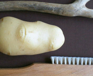 �g�W���K�C���h