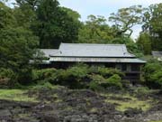 �p�b�I�i8/8�j