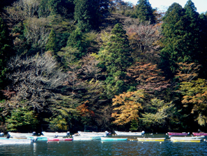 �g�t�G���ꂼ�ꂪ���ꂼ��ł����i11.12 9:38�j