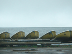 �����͉J�i2006.05.20 14:22�j