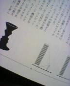 ���r���̒�