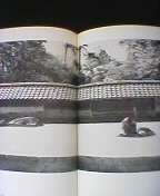 �������̒�