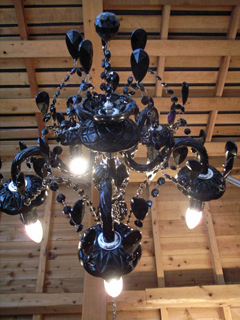 �K�E�f�B�[�Ƌt���݂�i�J�e���[�i�Ȑ��j