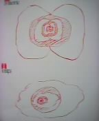 �����[��