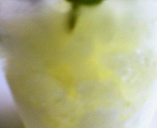 �V���[�x�b�g