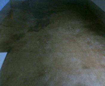 2007.01.21 �N���A�[