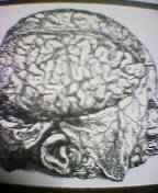 �v�l�̃V�t�g