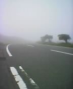 ���ɂȂ��Ă���