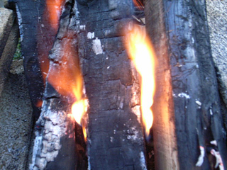 �g���������h