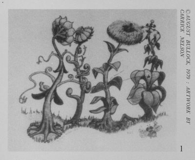 �T�u���~�i��