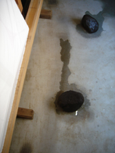 �I�t�B�X�i2006.06.01 07:52�j