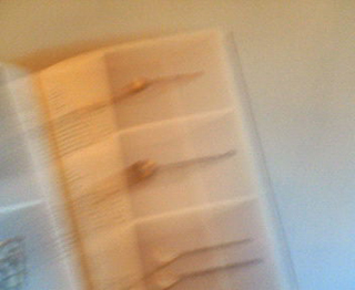 P97 ��H�X�v�[���C�w�g�v�J�v�{�a�̎���W�x�J�^���O ��� �i2007.08.10�j