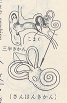 �O���K��