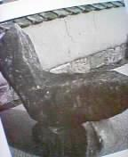 ���̌j�̒�