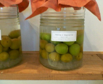 �g�ʎ����h