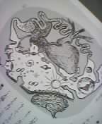 �u�l�̗��Ԃ��}�v