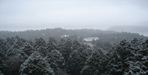 �� ��i2005.12.4. 13:51�j